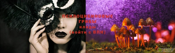 бошки Алзамай