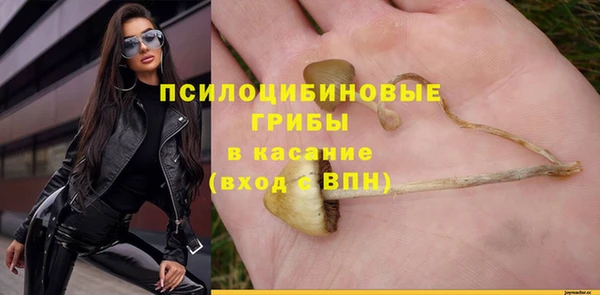 таблы Алексеевка