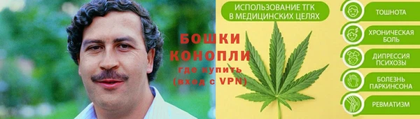 бошки Алзамай