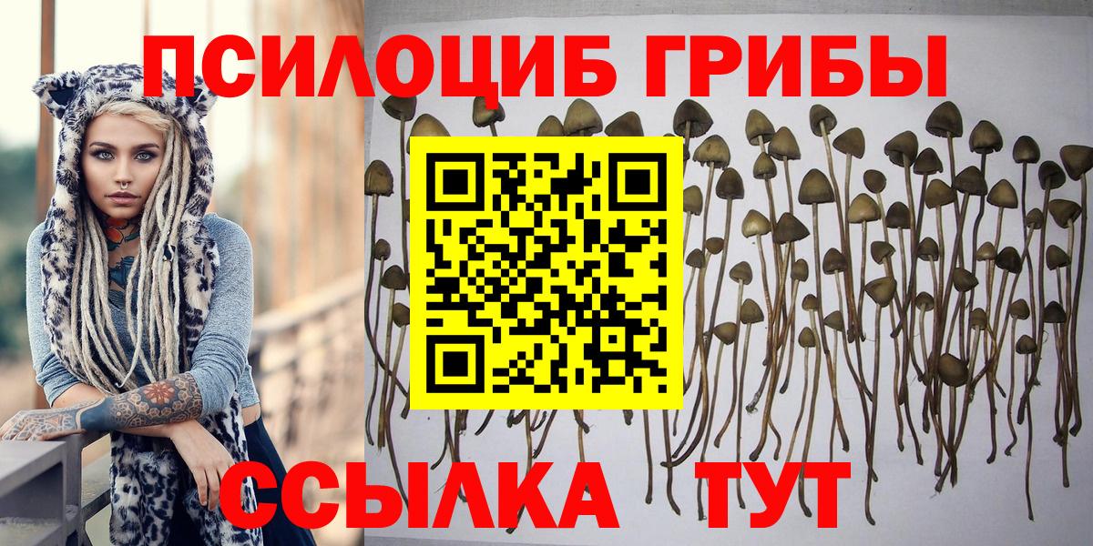Галлюциногенные грибы GOLDEN TEACHER  Вход с VPN  Кольчугино 