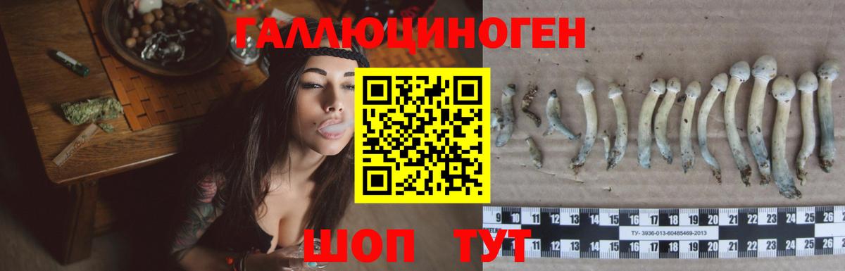Псилоцибиновые грибы Magic Shrooms Кольчугино